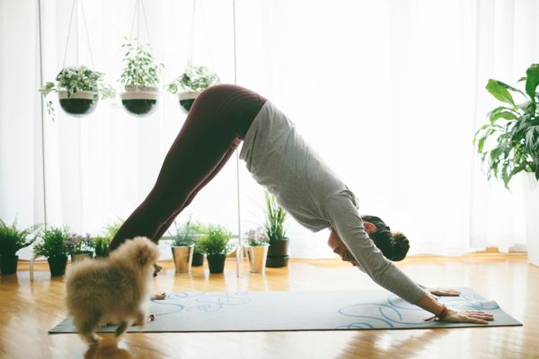 Für Yoga brauchst du kein Fitnessstudio, das geht mit der richtigen Unterlage auch prima zu Hause.